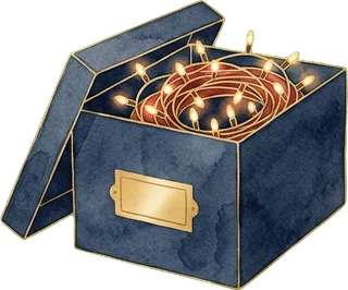 Off-Season Storage — TexaShine Christmas lighting service icon